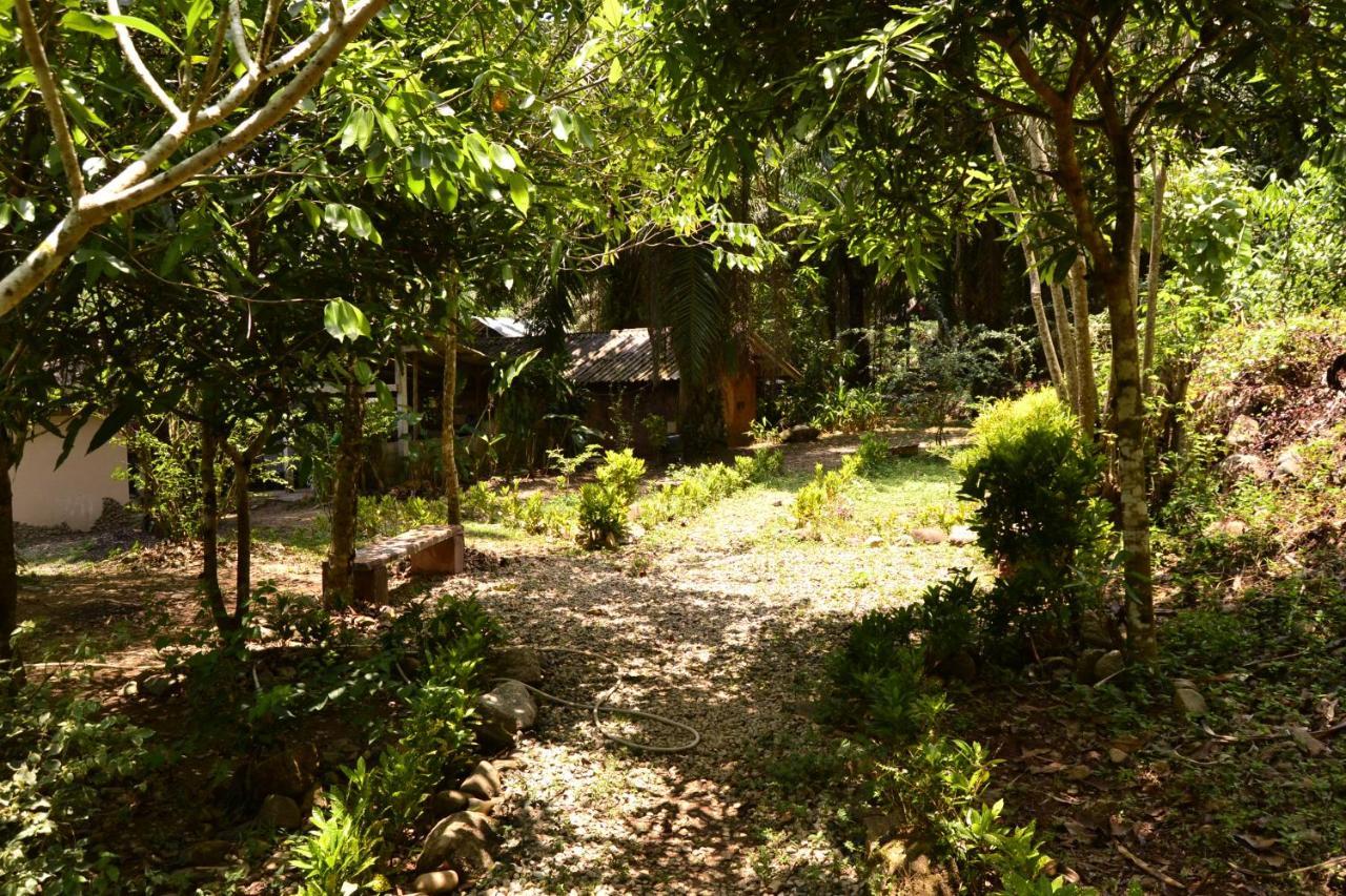 Eco-Logic, Resort For Charity Phato Dış mekan fotoğraf